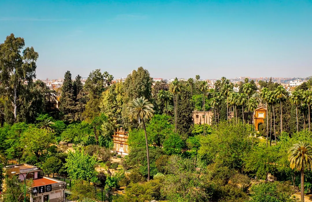 Hotel Alcázar-1